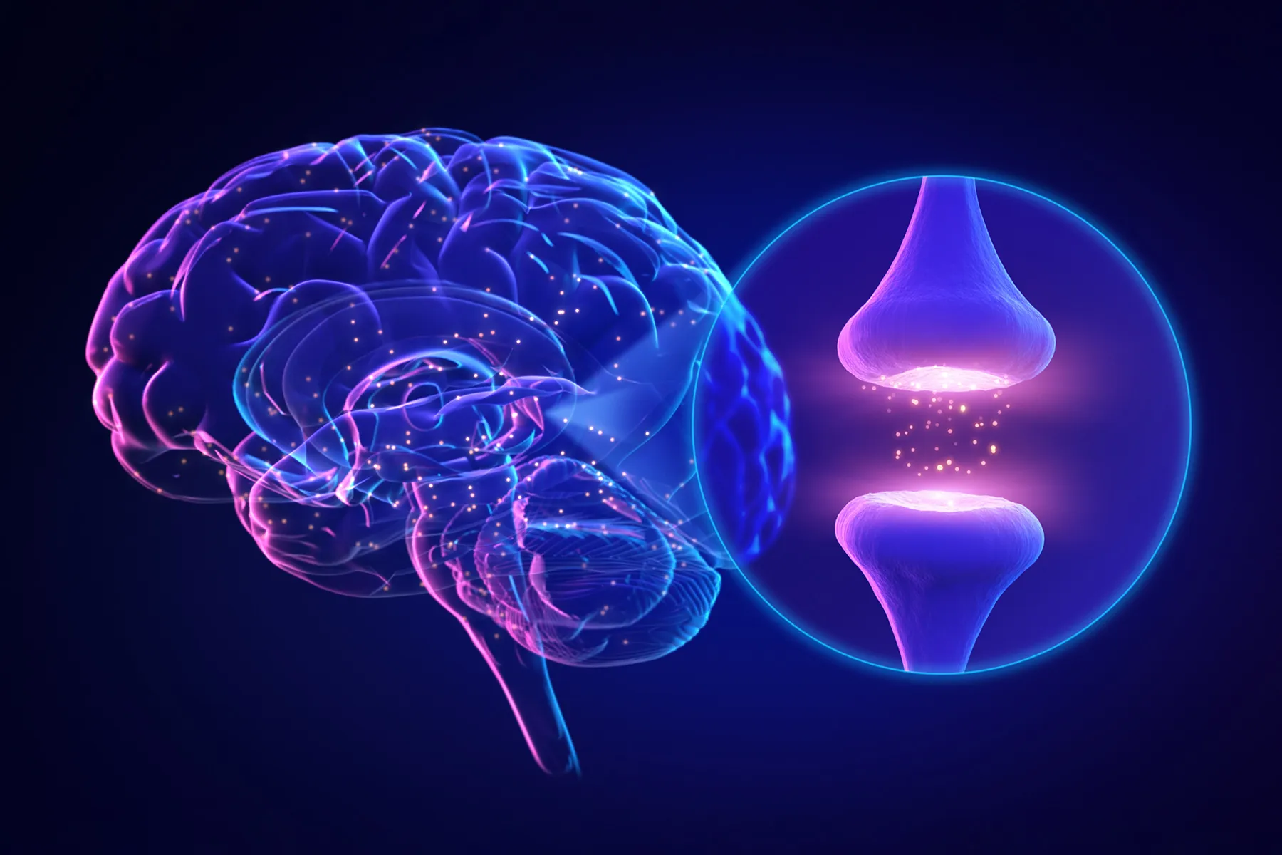 From Synapses to Systems: How Neuroplasticity Shapes Brain Healing and Growth