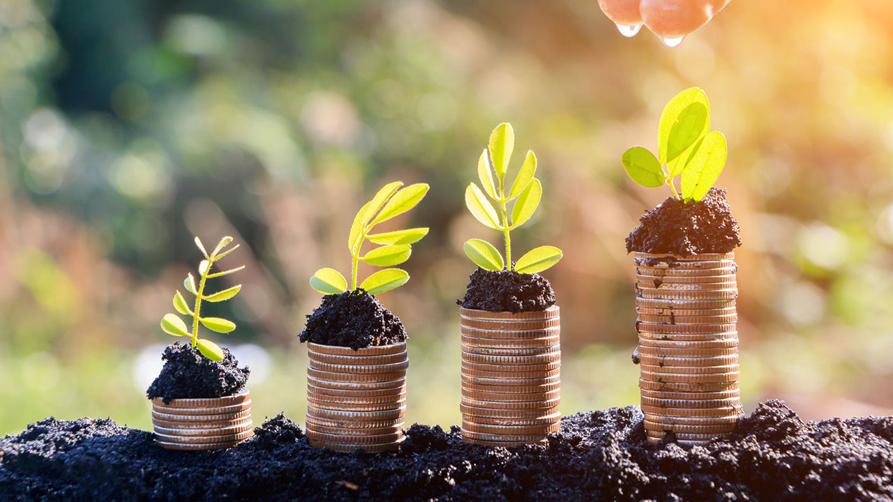 Bridging the Gap: Carbon Accounting and Climate-Aligned Capital in Sustainable Finance